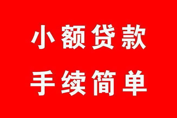 成都15个人贷款小额贷款-成都15贷款无抵押-成都15小额贷款当天放款-第1张图片-成都私人借钱服务中心